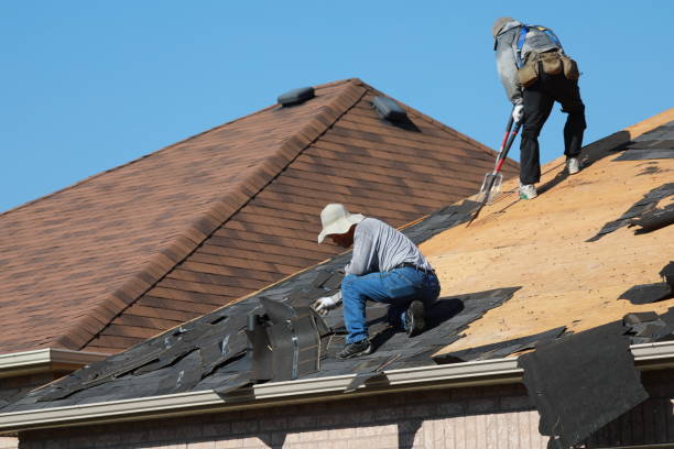 Best Metal Roofing Installation  in Villa Rica, GA